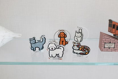 Cat 2 - White