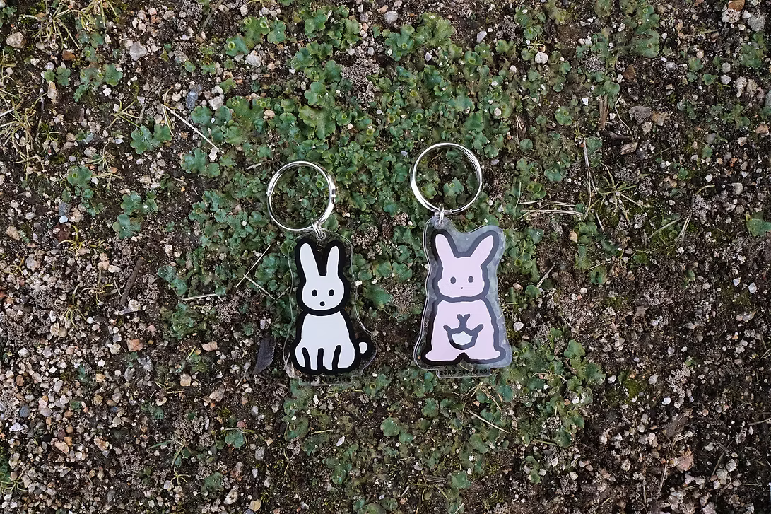 Rabbit 2S