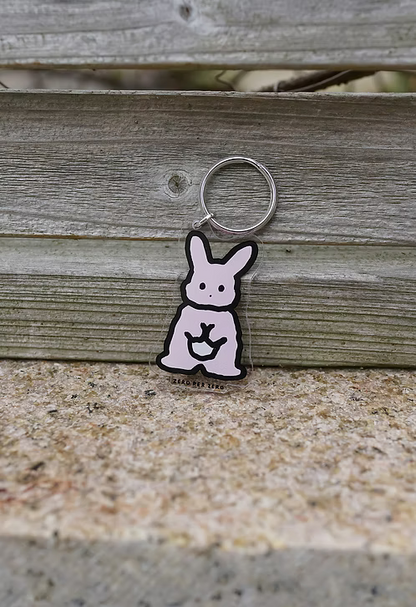 Rabbit 2S