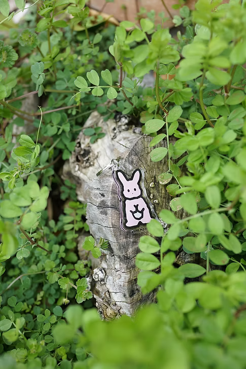Rabbit 2S