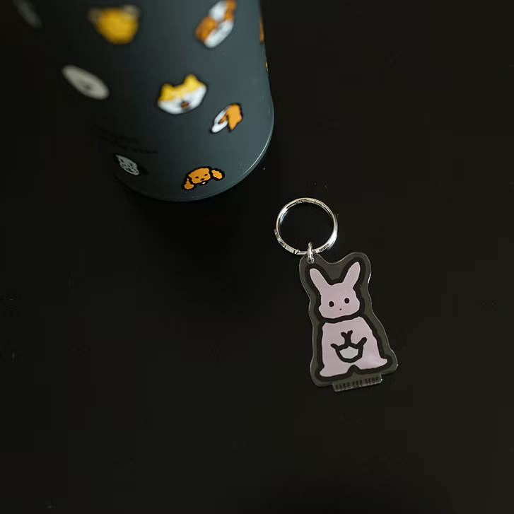 Rabbit 2S